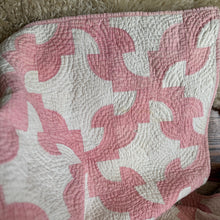 Load image into Gallery viewer, rosy crooked path