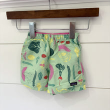 Load image into Gallery viewer, Patagonia Baby Boys Vegetable Swim Trunks - Size 12-18 Months

